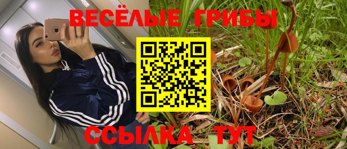 Псилоцибиновые грибы мицелий  Псилоцибиновые грибы ЛСД  Сосновоборск  Вход с VPN 