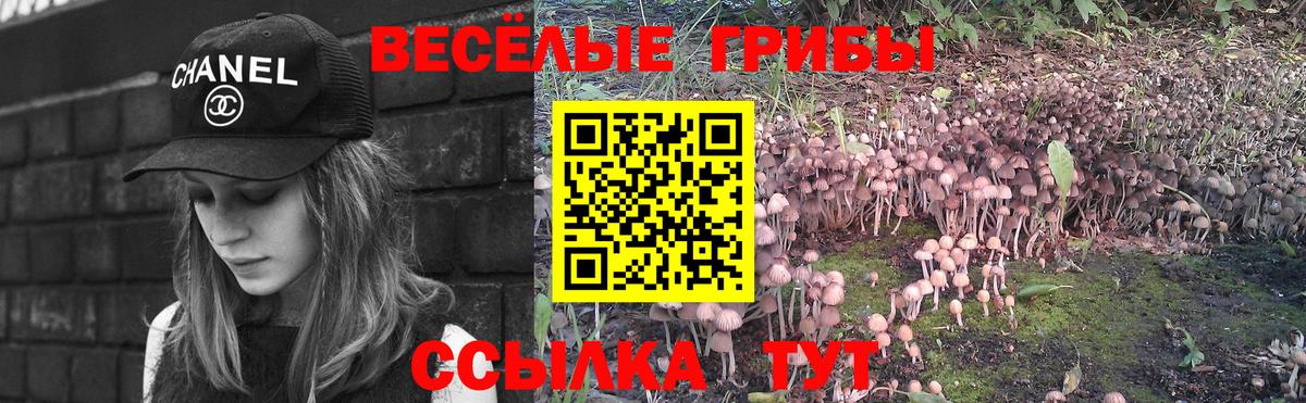 Псилоцибиновые грибы прущие грибы Сосновоборск